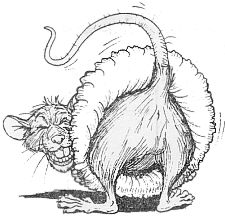 Rats Asses Logo